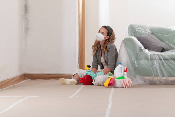 Reliable Basement Mold Remediation contractor in Bloomingdale, IL by Car Mold Remediation